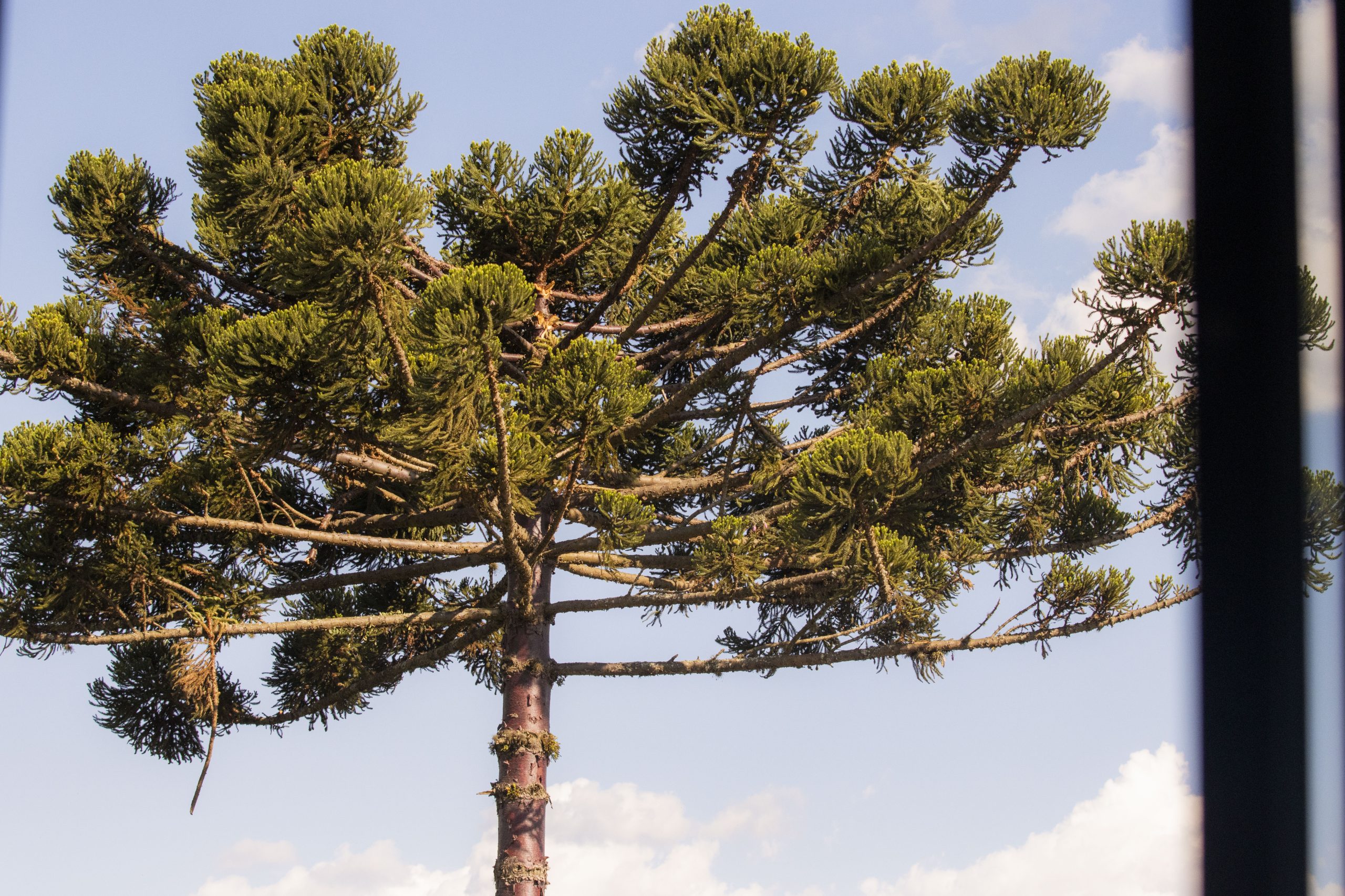 Confirme a presença no Encontro de Fundações de Apoio ICTs, em Ponta Grossa